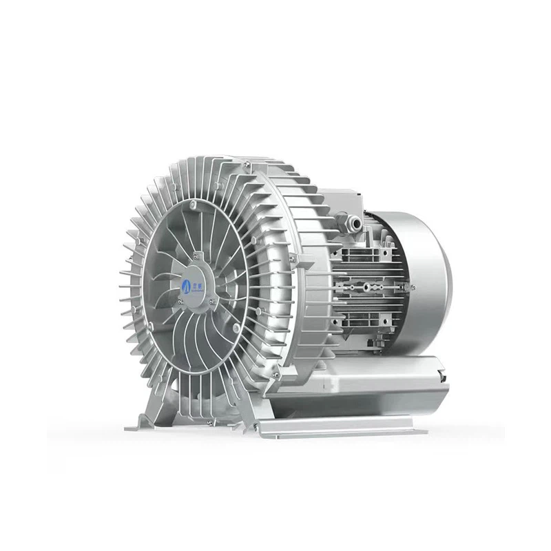 Single Phase Vortex Blower